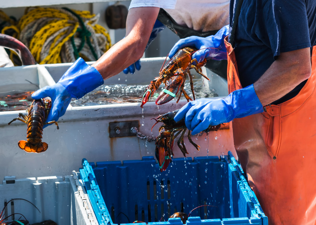 #10. Maine